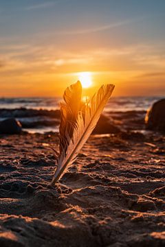 Light as a feather by Marcus Lanz