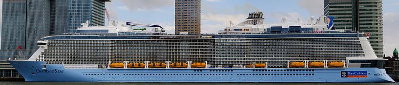 Cruise ship 'Ovation of the Seas' in Rotterdam | Panorama  by Willem van den Berge