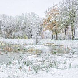 De winter neemt het over van de herfst van Gonnie van de Schans