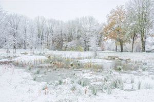 Der Winter löst den Herbst ab