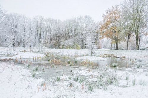 De winter neemt het over van de herfst van Gonnie van de Schans