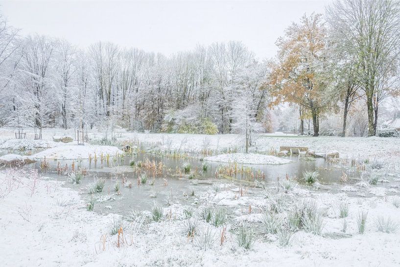 Der Winter löst den Herbst ab von Gonnie van de Schans
