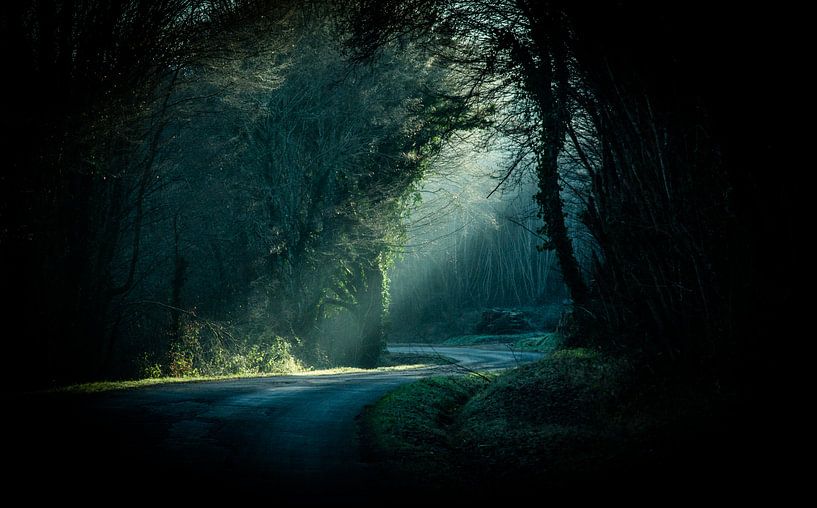 Dark winding road by Frans Scherpenisse