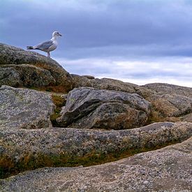 Peggys Cove, Nova Scotia, Kanada von Hans-Peter Merten