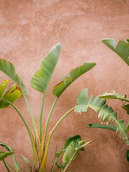 Einzelheiten zu Marrakesch