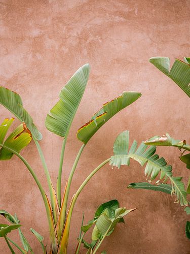 Details of Marrakech by Raisa Zwart Travel Photography Prints