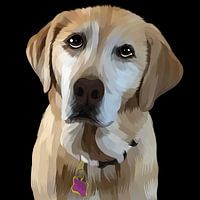 Goldener Pelzhund