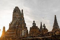 Tempelanlage in Thailand von Felix Brönnimann Miniaturansicht