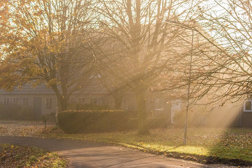 A beautiful misty autumn morning in Driel gld by Daniëlle Langelaar Photography