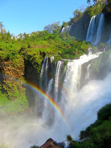 Natuurwonder Iguazu watervallen met regenboog