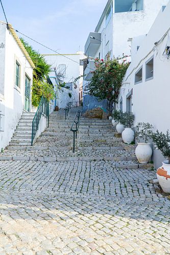 narrow Portuguese roads.