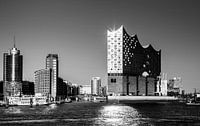 Lichtspoor in de Elbphilharmonie van Ursula Reins thumbnail