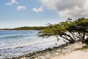 Curaçao Barbarabeach Strand