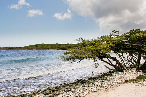 Curaçao Barbarabeach strand