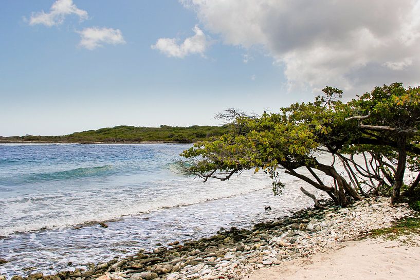 Curaçao Barbarabeach strand van Marly De Kok