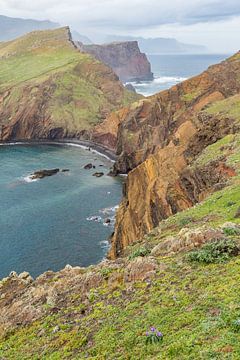 Ponta de São Lourenço, Madeira