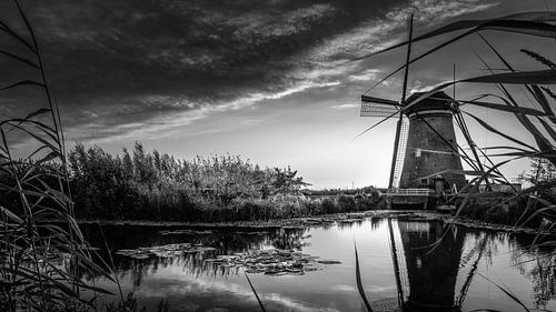 Zwart Wit: Molen in Kinderdijk