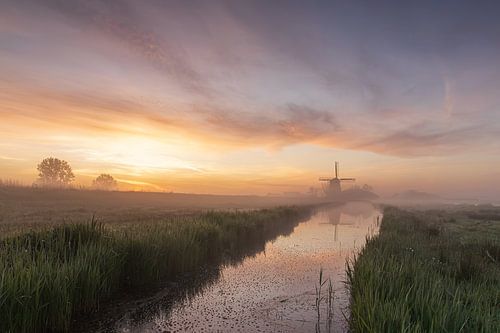 Molen De Havik in Grootschermer aan het einde van de sloot op een mistige lenteochtend