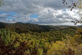 Ardennes wooded landscape by Brian Bonckaert Fotografie