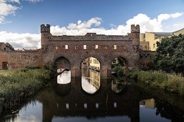 berkelpoort sur Tim Voortman