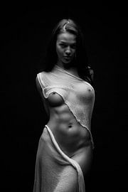 Schwarze Milch von Anton Belovodchenko