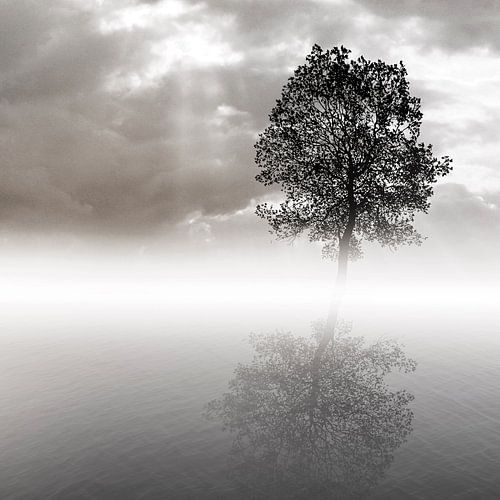 Rue de Venice in Paris