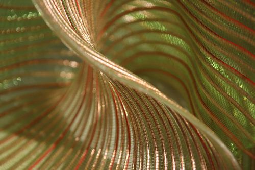 Torsade de cuivre au soleil