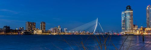 Erasmusbrug vanaf de kop van zuid
