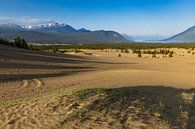 De Carcross-woestijn in Canada van Roland Brack thumbnail