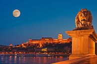 Burgpalast, Budapest, Ungarn par Gunter Kirsch Aperçu