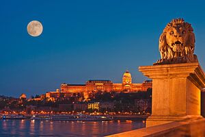 Buda Castle, Budapest, Hungary van Gunter Kirsch