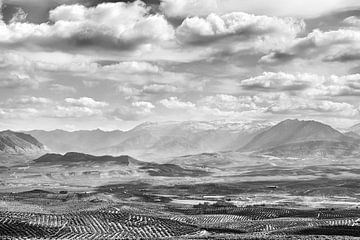 View from Baeza on Sierra Nevada van Peter van Eekelen