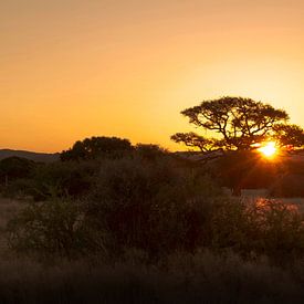 Sonnenuntergang Namib-Naukluft, Namibia von Kelly Baetsen