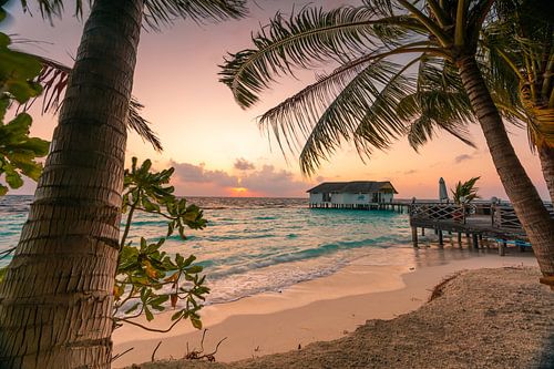 Palmenstrand am Morgen von Christian Klös