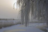 sneeuwlandschap