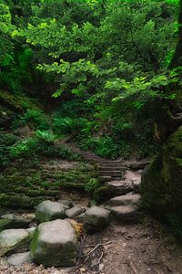 Schiessentümpel Escalier 2