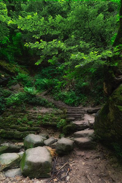 Schiessentümpel Stairs 2 by Kirsten Scholten