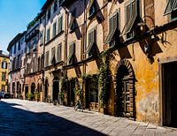 Tuscan colors | Travel Photography