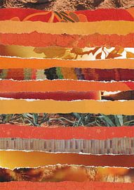 Orangenapfel in Streifen von Pluijm