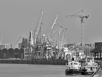 Hafen von Antwerpen