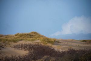 Paysage de dunes douces