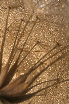 Ländliche Ruhe: Unter einem goldenen Dach von Marjolijn van den Berg