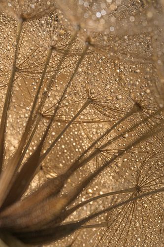 Ländliche Ruhe: Unter einem goldenen Dach von Marjolijn van den Berg