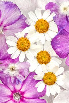"Lieflijke zomerbloemen op ijs” van Jenco van Zalk