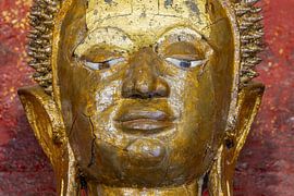 Un visage de lumière et de silence sur Walter G. Allgöwer