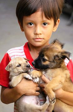 Little boy with dogs in Vietnam