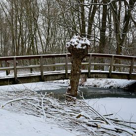 Bridge covered in snow by Frank's Awesome Travels