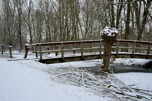Brug bedekt met sneeuw