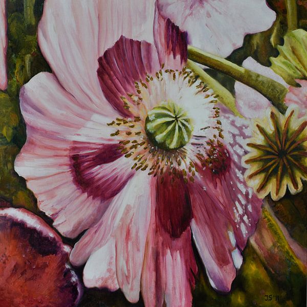 Roze papaver  2 par Janny Schilderink......Atelier "de Tuute "