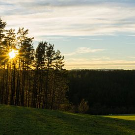 Duitsland, Zonnestralen van zonsondergang tussen bomen van zwart bos van adventure-photos